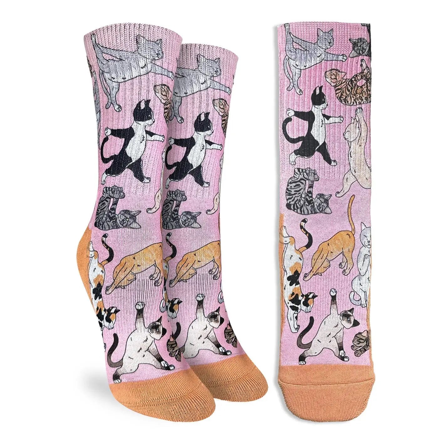 Yoga Cats Socks
