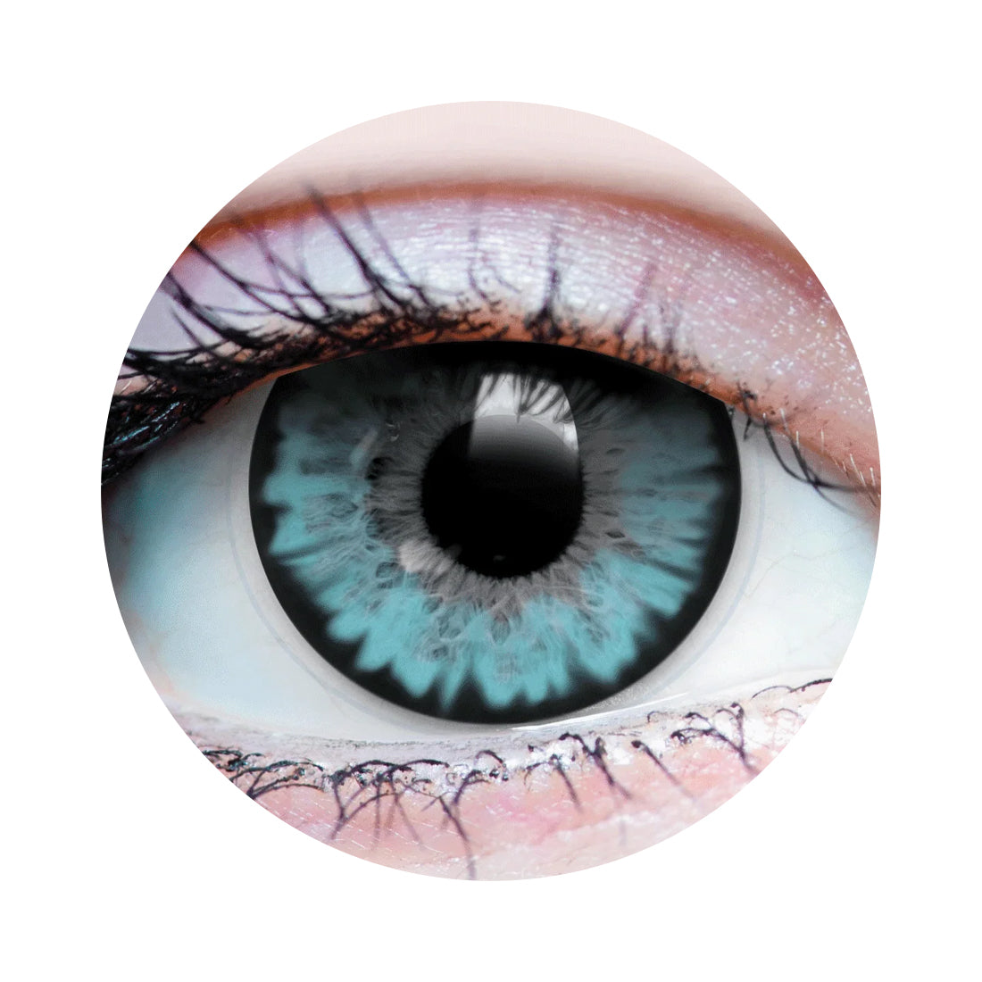 Celestial Ocean Contacts