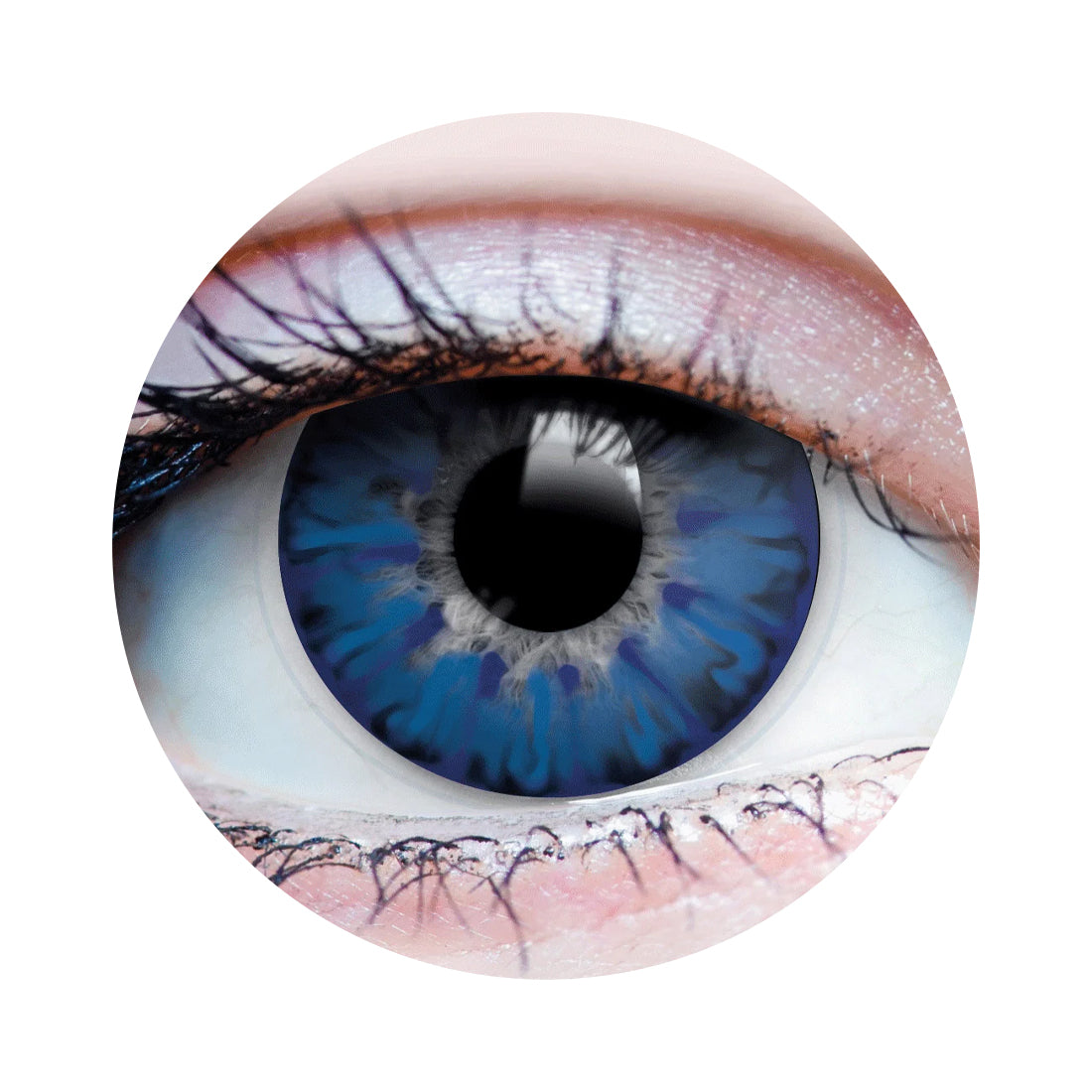 Enchanted Azure Contacs