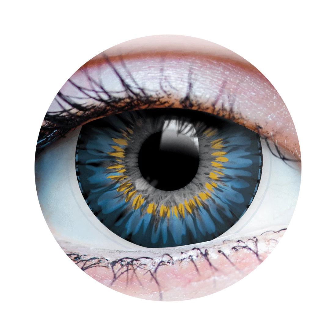 Moonrise Ocean Contacts