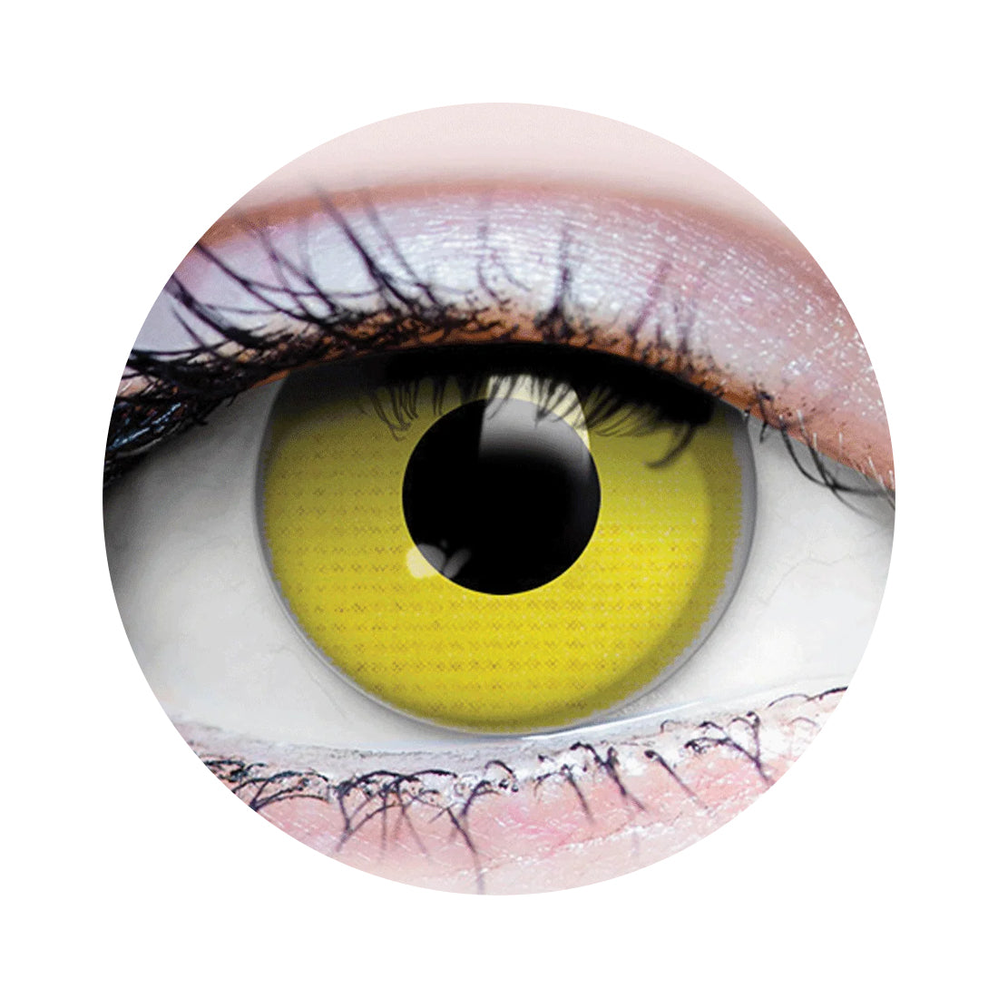 Raven Costume Contacts