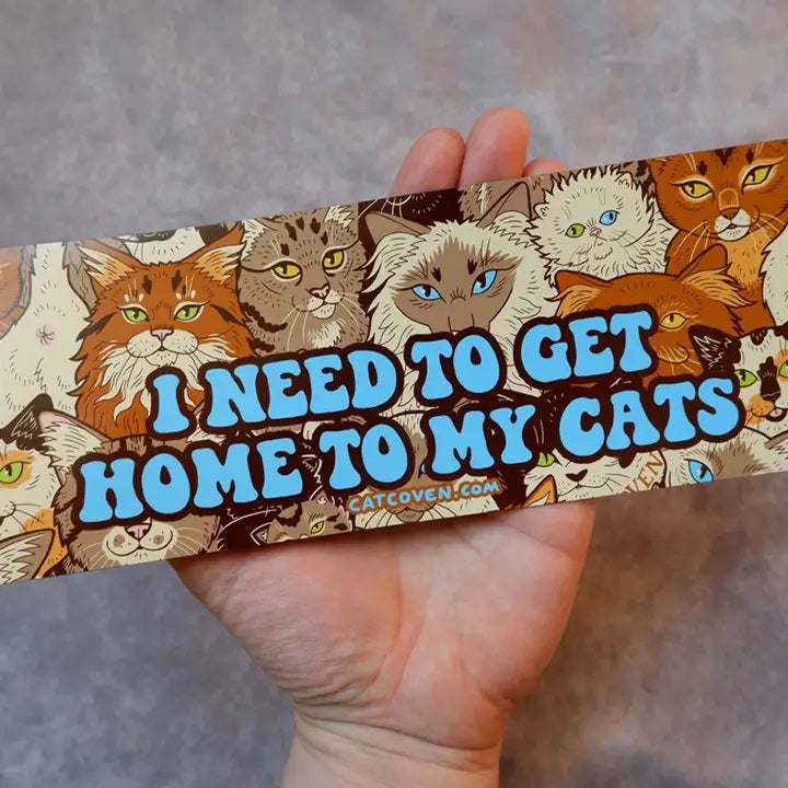 I Need To Get Home To My Cats Magnet Car Bumper