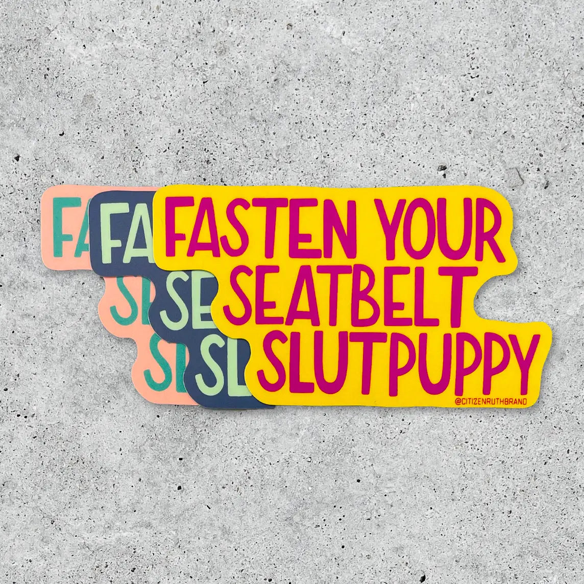 FASTEN YOUR SEATBELT SLUTPUPPY