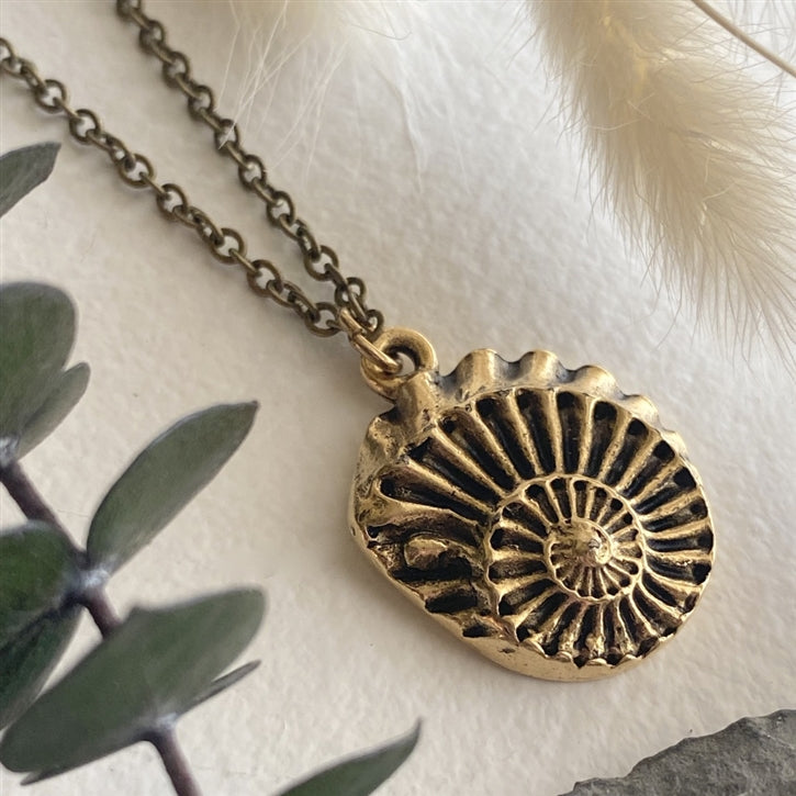 Nautilus Round Nautilus Shell Bronze Necklace
