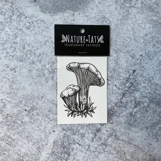 Chanterelle Mushroom