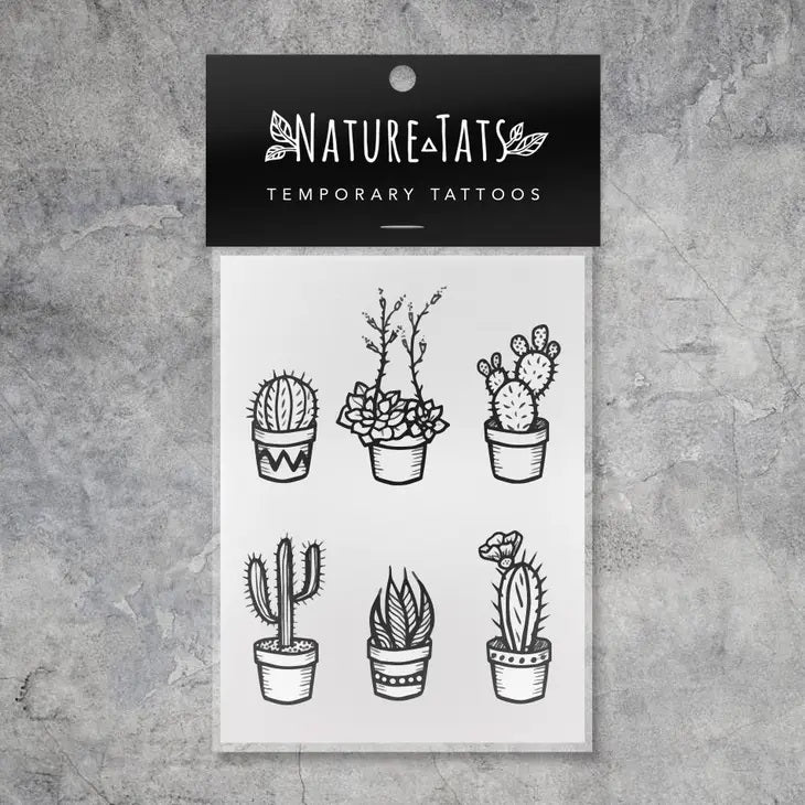 Potted Cactus