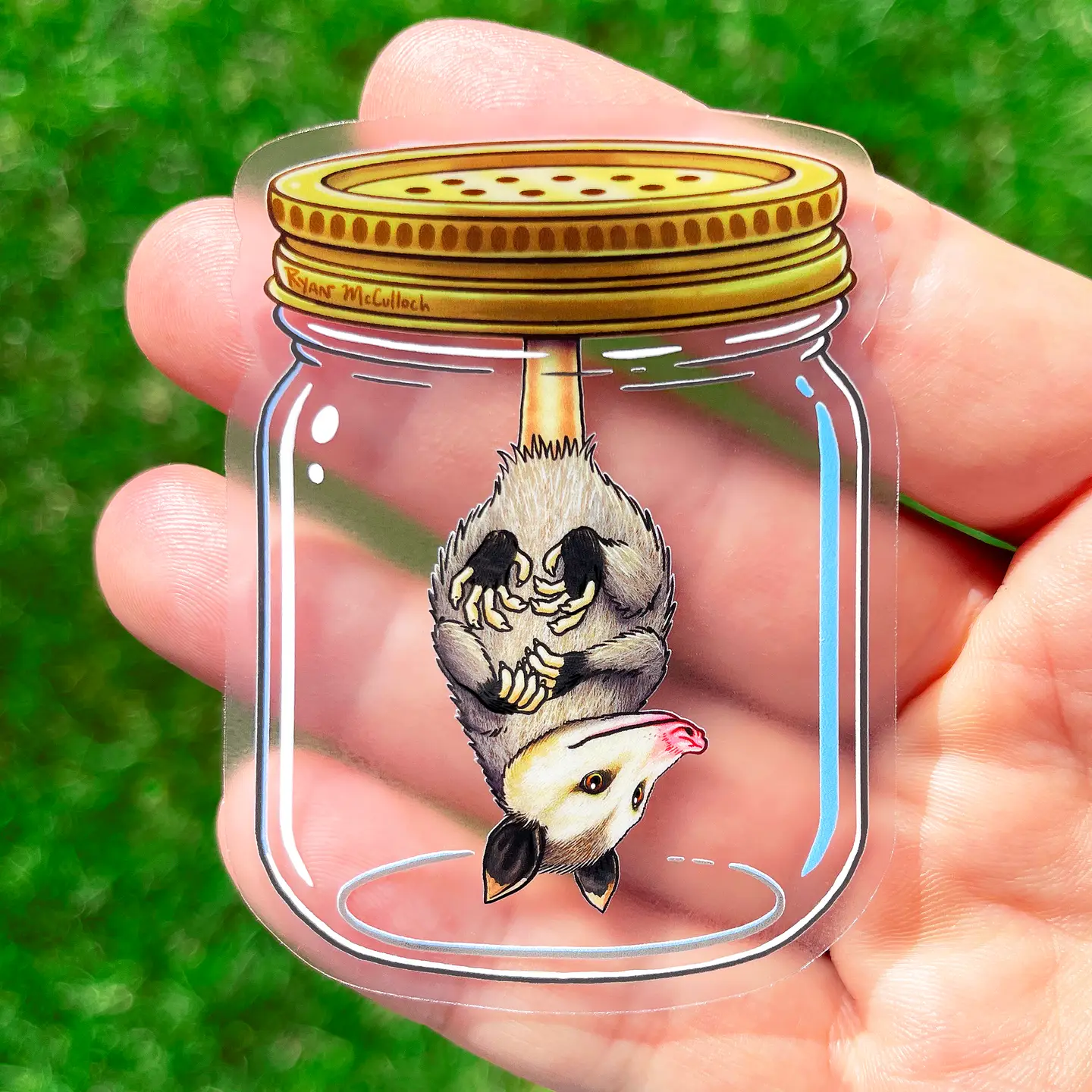 Opossum in A Jar Clear Sticker