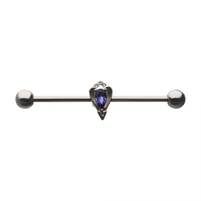 Purple Gem Industrial Barbell