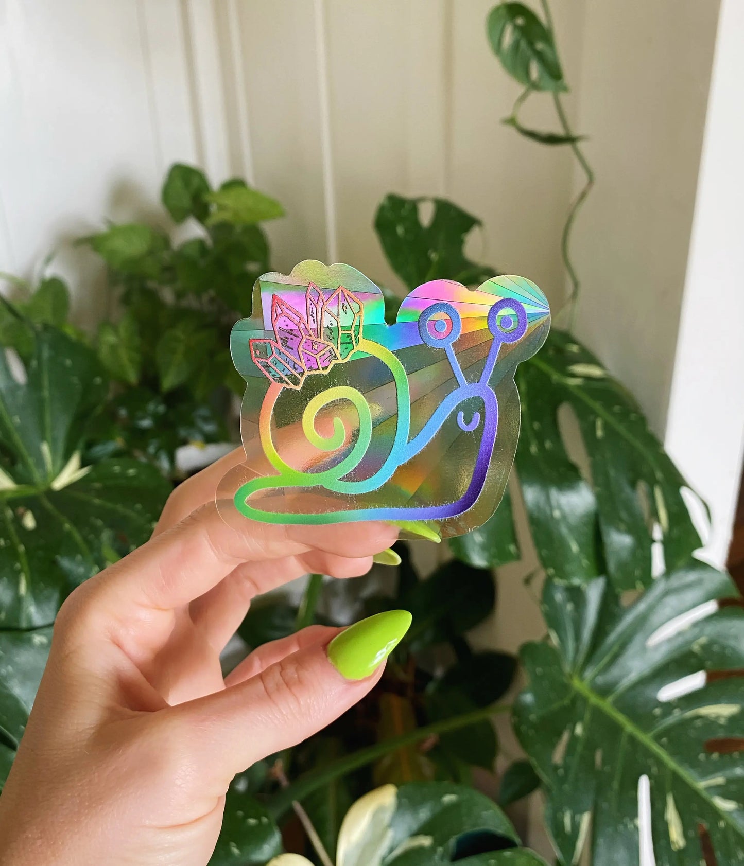SNAILSUNCATCHER
