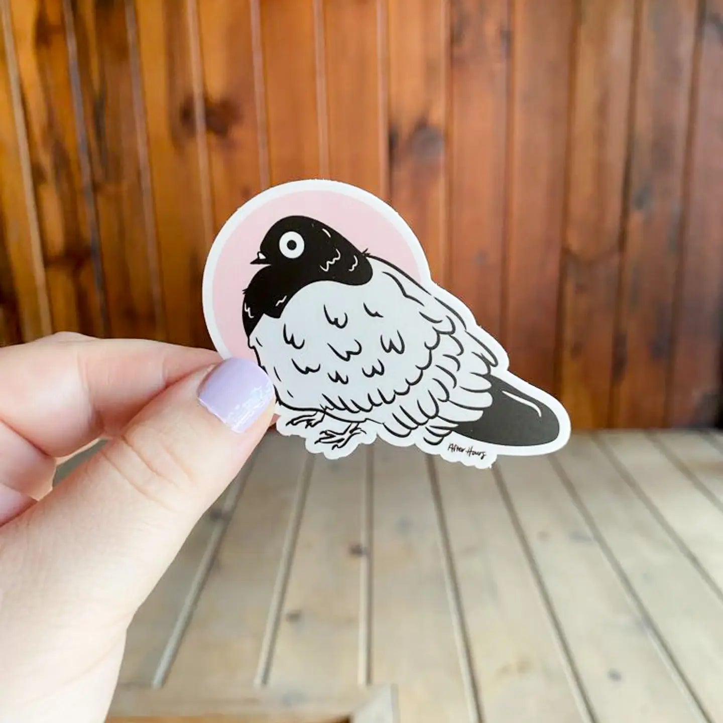 Stunned Pigeon Sticker