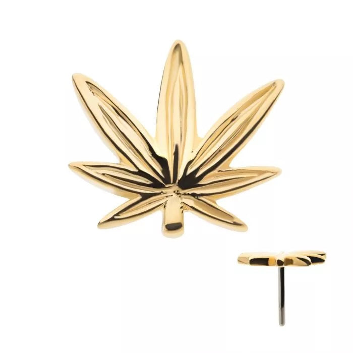 14kt Yellow Gold Threadless Pot Leaf Top