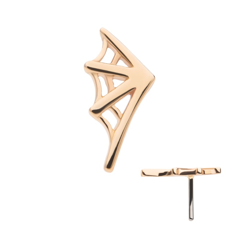 Spiderweb 14kt Gold
