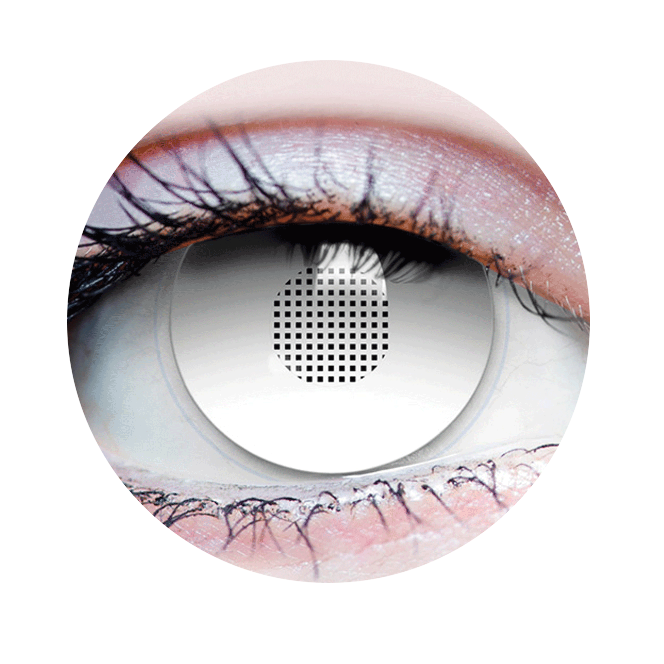 Contacts avec les costumes de Sub Zero