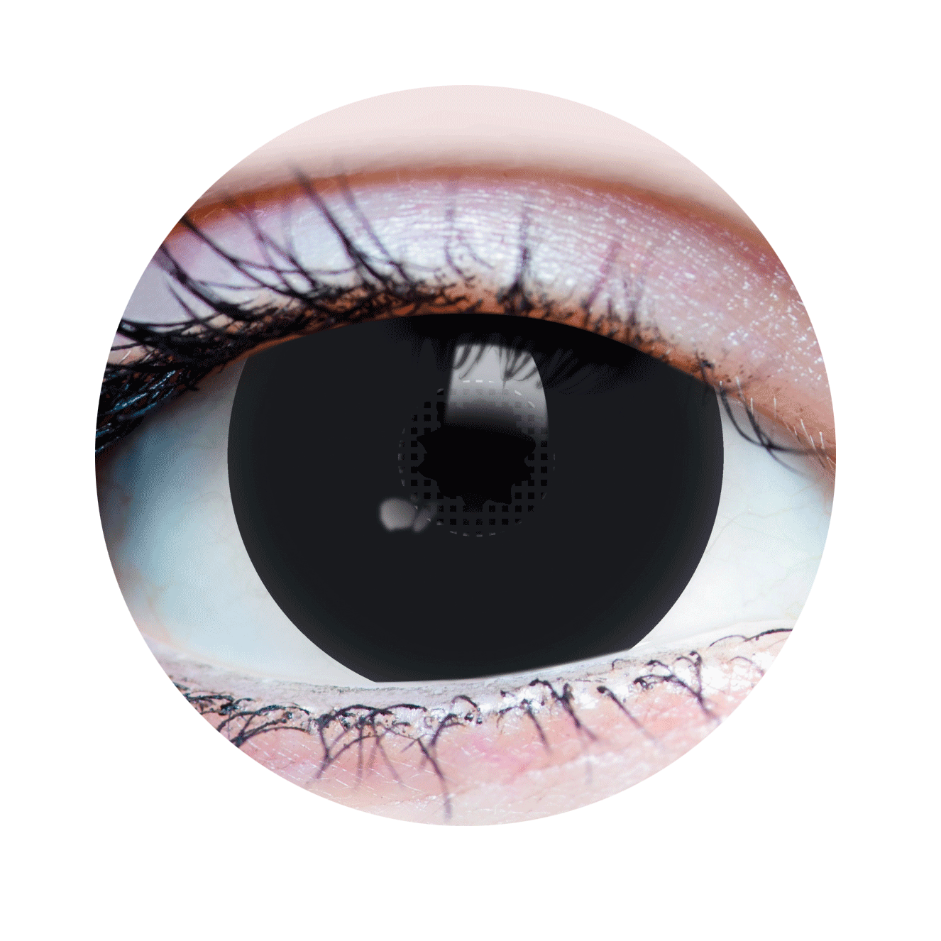Black Mini Sclera Contacts