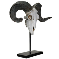Ram Decorative Skull