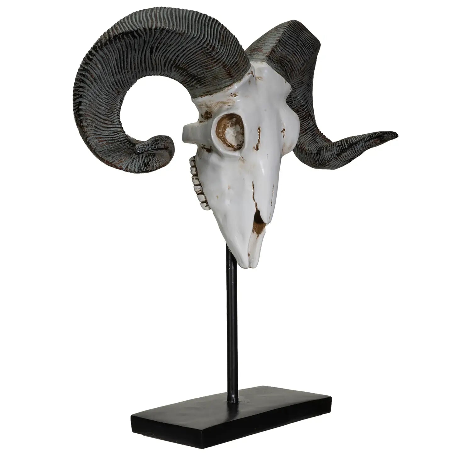 Ram Decorative Skull