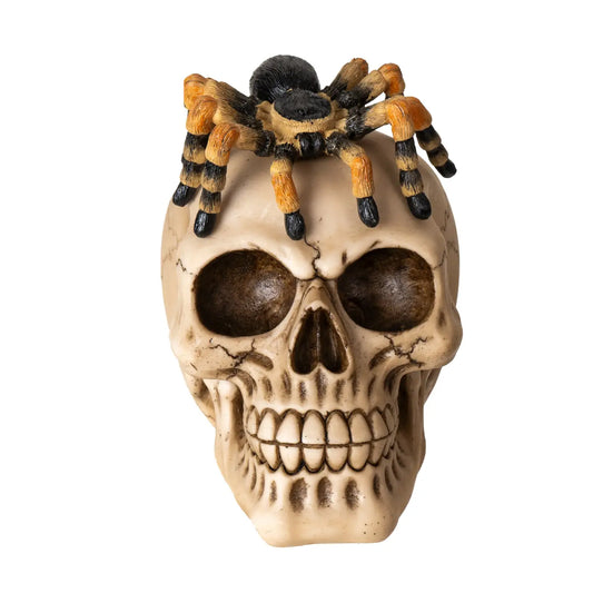 Spider On Skull Head
