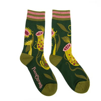 Calcetines con planta de jarra