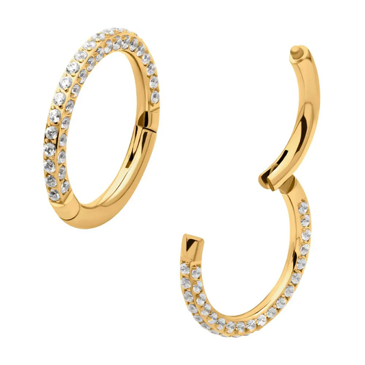 All Sides CZ 24kt PVD Hinged Hoop