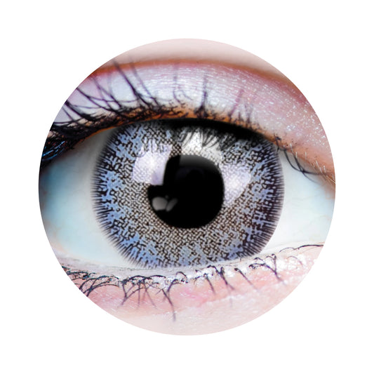 Dream Ocean Contacts
