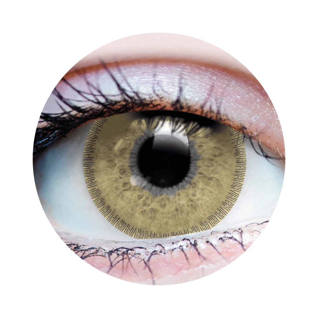 Charm Chestnut Contacts
