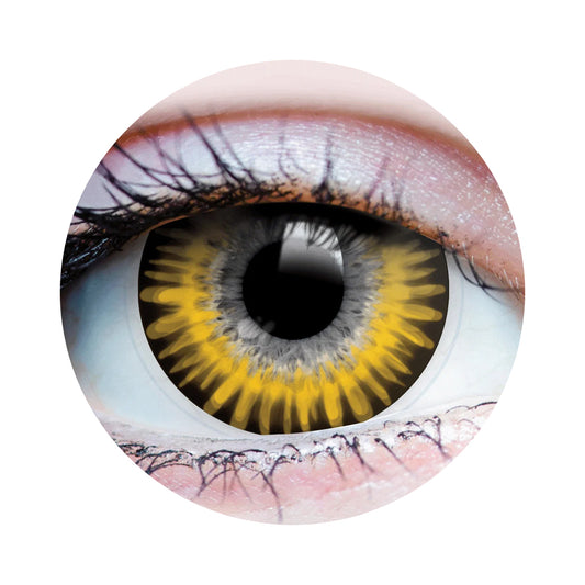 Temptress Chestnut Contacts