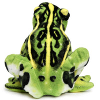 Frisco the Frog | 10 Inch Stuffed Animal Plush