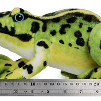 Frisco the Frog | 10 Inch Stuffed Animal Plush