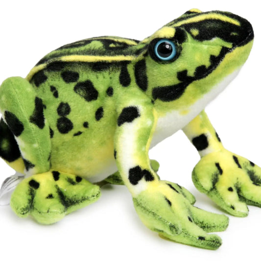 Frisco the Frog | 10 Inch Stuffed Animal Plush