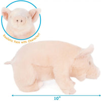 Perla the Pig
