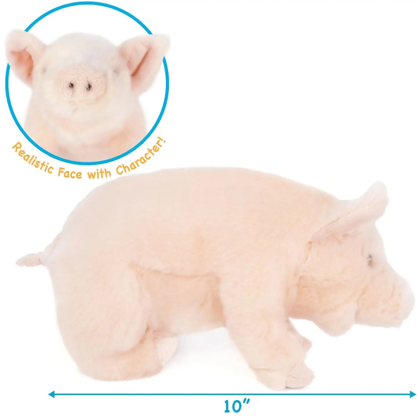 Perla the Pig