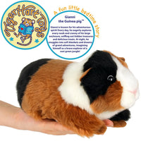 Gianni The Guinea Pig  9 Inch Stuffed Animal Plush