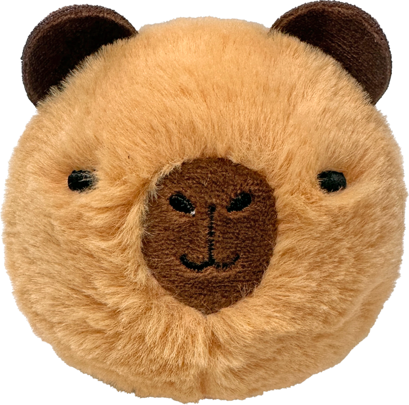 Barry Capybara Brown Bounce