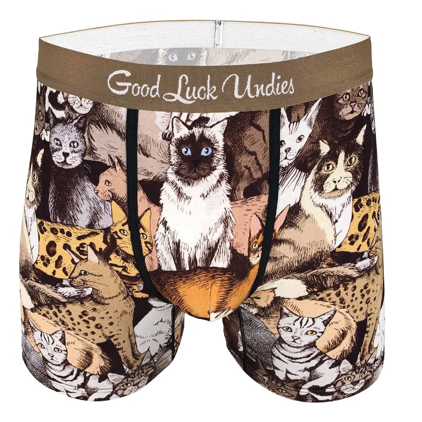Social Cats Underwear