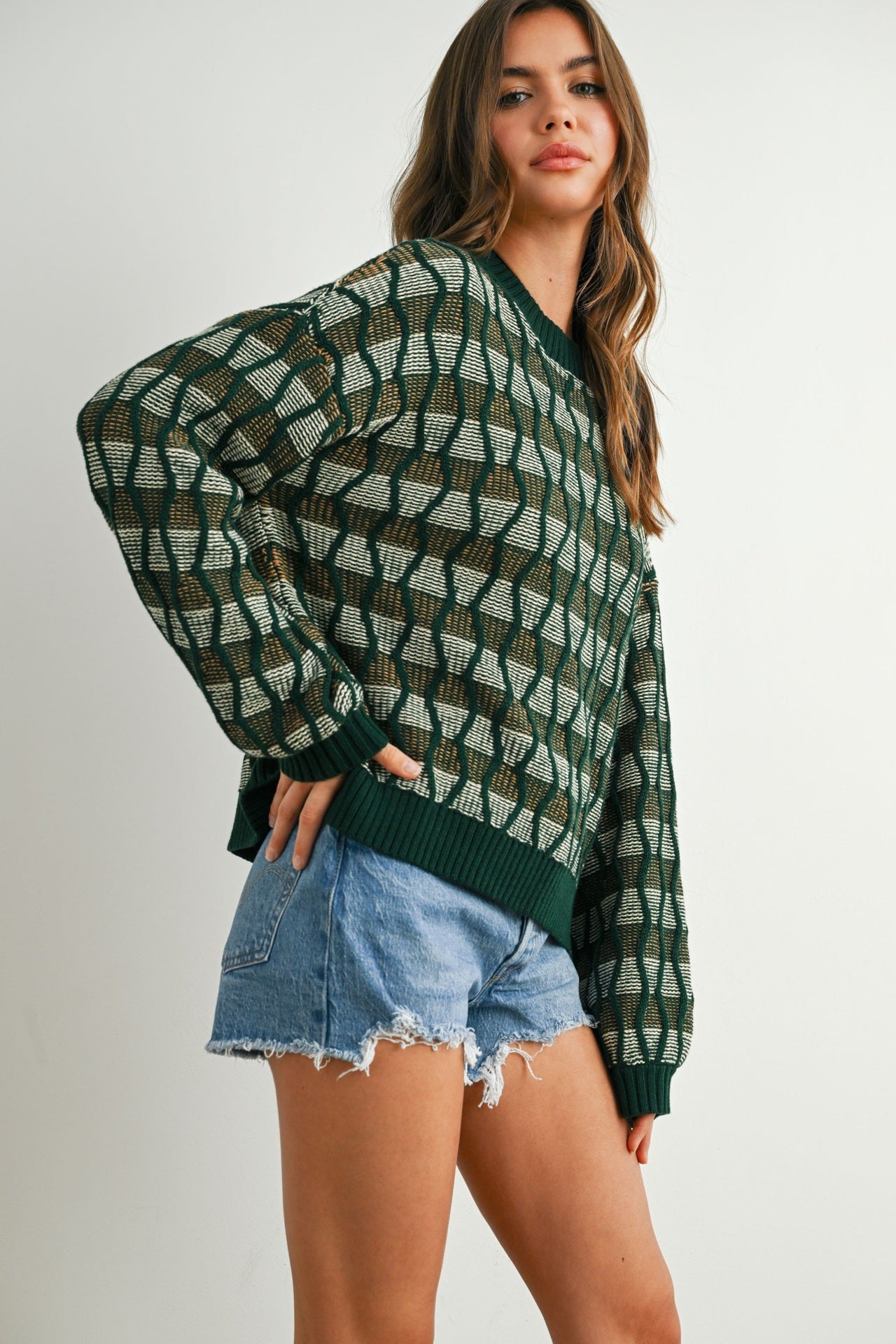 Geometric Crew neck Long Sleeve Sweater
