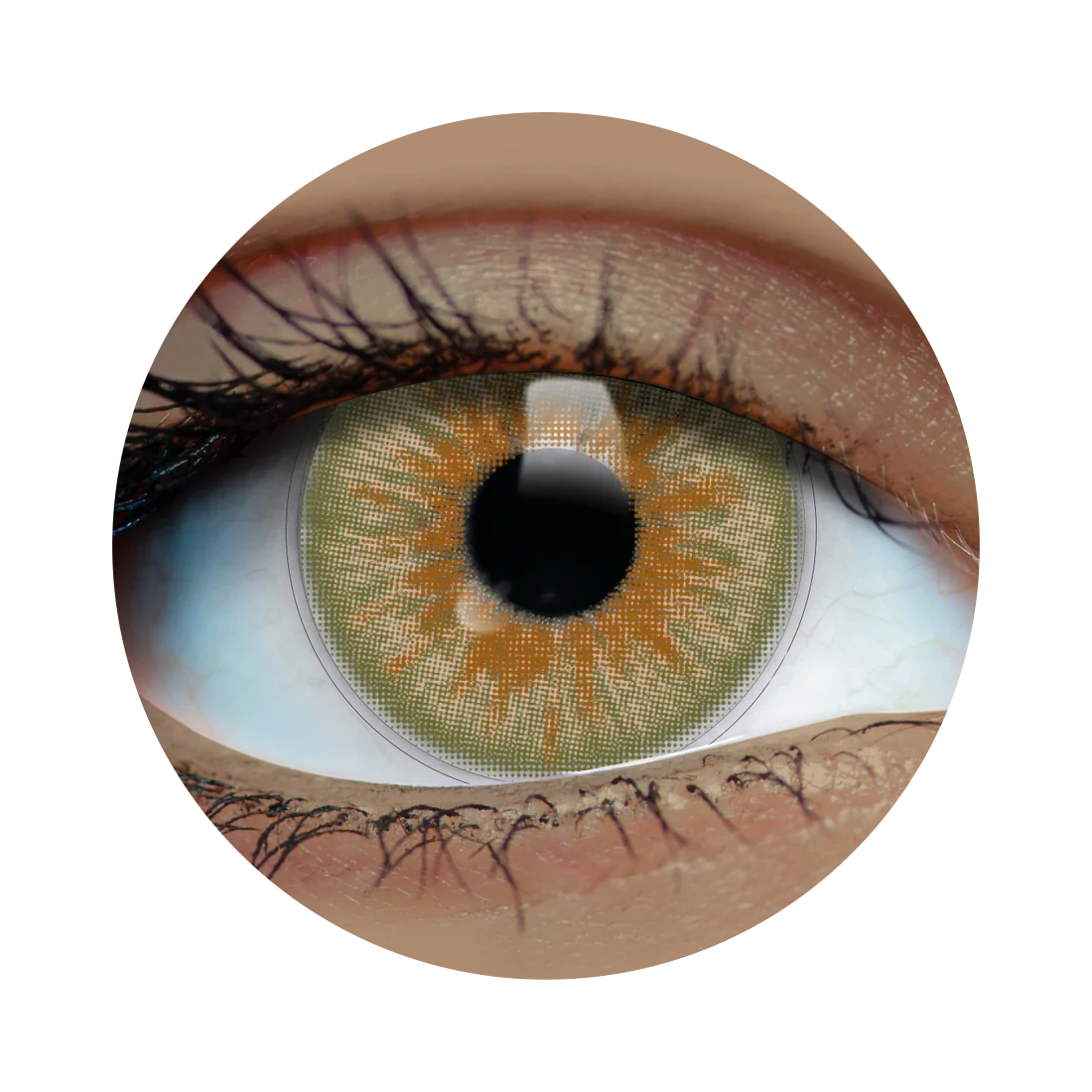 Olive Contacts