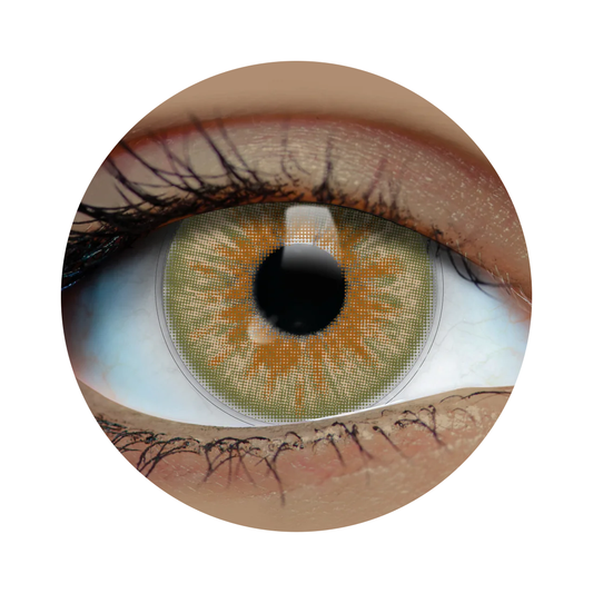 Olive Contacts