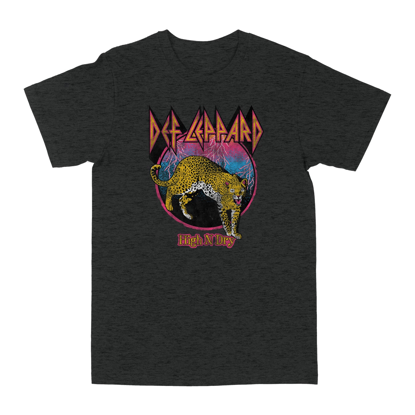 Def Leppard High N Dry