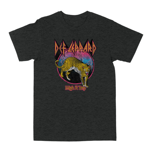 Def Leppard High N Dry
