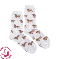 Weiner Dog Hot Dog Socks