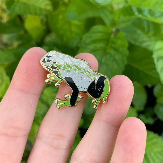 Demiromantic Pride Frog Pin
