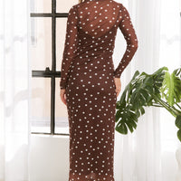 Polka Dot Mesh Print Maxi Dress With Separate Lining