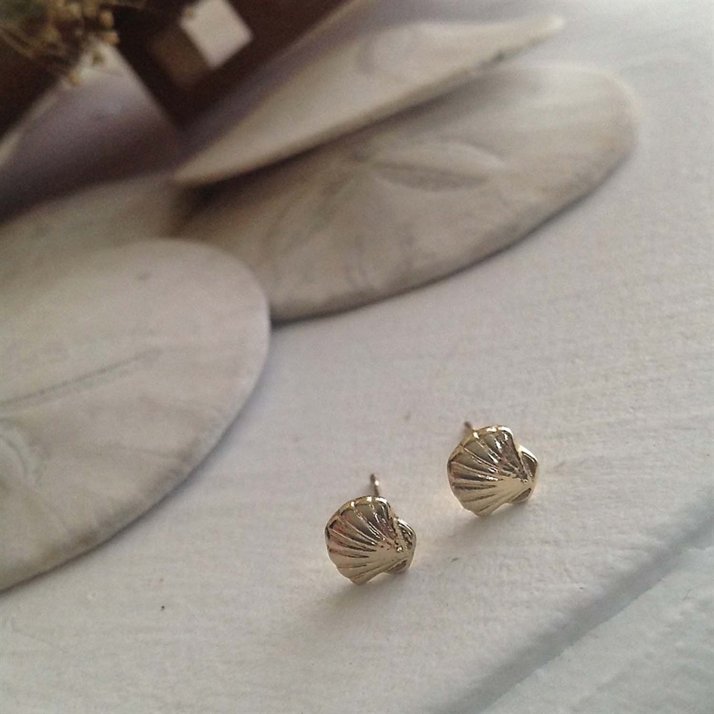 Amatheia Seashell Stud In Gold