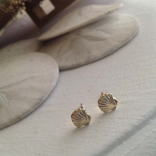 Amatheia Seashell Stud In Gold