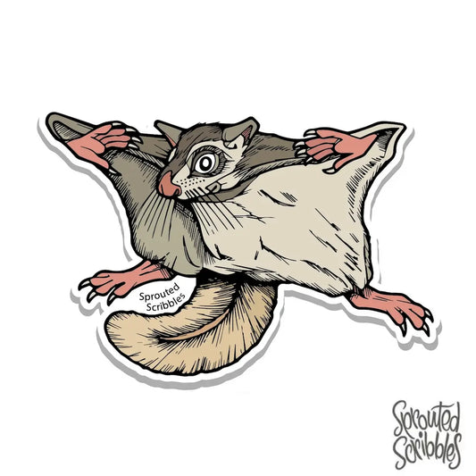 Flying Squirrel Sticker