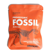 Fossil Blind Bag