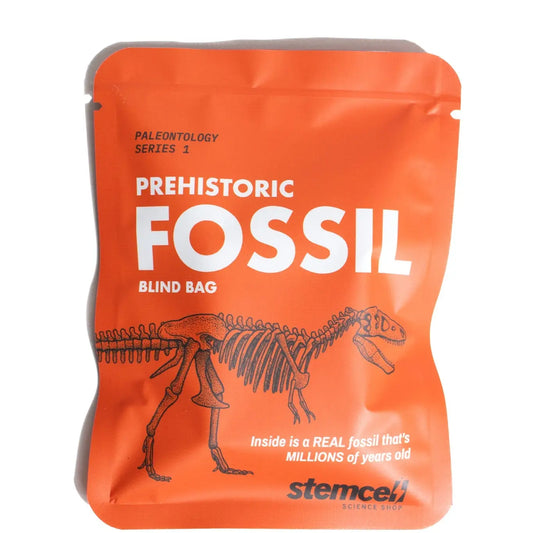 Fossil Blind Bag