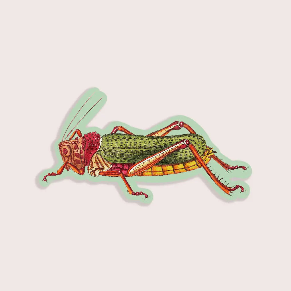 Lairy Locust - Gap Filler Sticker