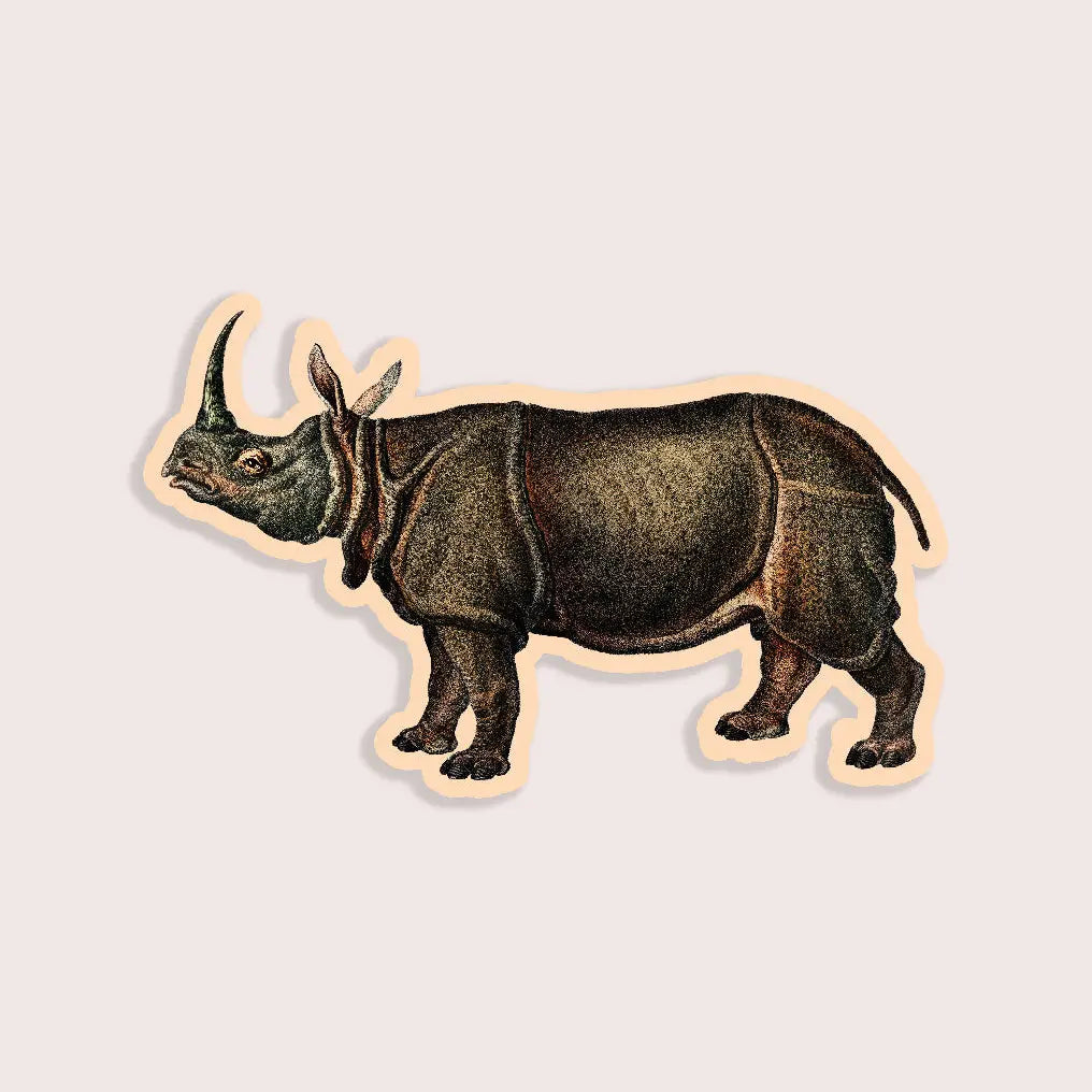 Regal Rhino - Gap Filler Sticker