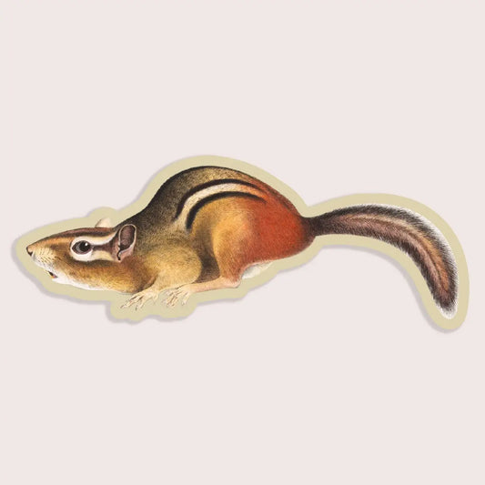 Suspicious Chipmunk - Gap Filler Sticker